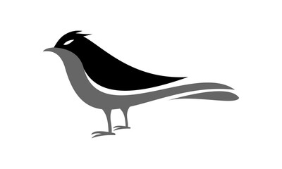 vector bird logo illustration