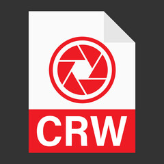 Modern flat design of CRW file icon for web