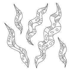 Silhouette of marine plants, leaves and seaweed. Vintage set of black and white hand drawn marine flora. Flat cartoon vector illustration.