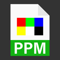 Modern flat design of PPM file icon for web