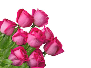 Pink roses bunch in the corner isolated transparent png