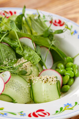 fresh spring salad with radish