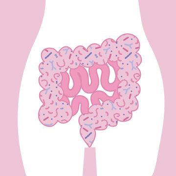 pink intestines with bacteria inside body clip art preview