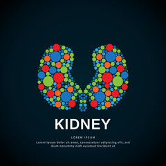 Human kidney medical structure. colorful kidney logo design vector illustration on dark background. vector Urology logo template suitable for organization, company, or community. EPS 10