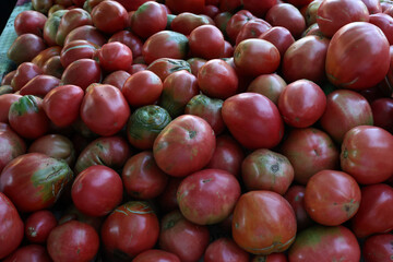 Red tomatoes for sale at a bazaar in Croatia