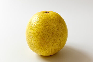 white grapefruit on a white background