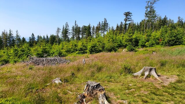 Polish Beskids Moutains