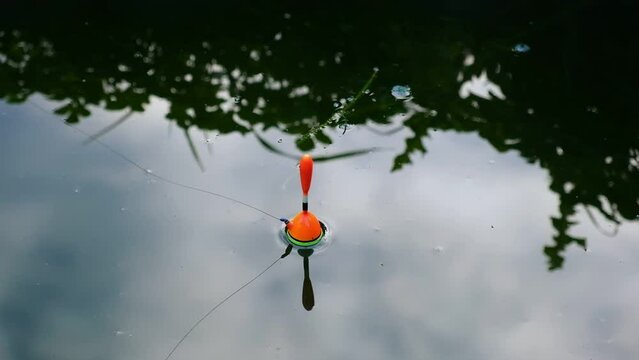 Float, fishing line in the lake surface. Fishing. Bright orange fishing float biting in dark pond. A bobber floats on the blue water making circles. Top view. Hobby and relaxation.	
