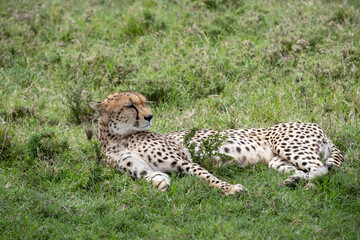 KENYA - HUMAN INTEREST - NAIBOSHO CONSERVATORY PARK