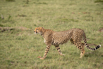 KENYA - HUMAN INTEREST - NAIBOSHO CONSERVATORY PARK