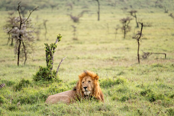 KENYA - HUMAN INTEREST - NAIBOSHO CONSERVATORY PARK