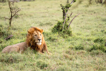 KENYA - HUMAN INTEREST - NAIBOSHO CONSERVATORY PARK
