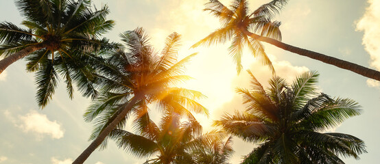 Coconut palm trees and cloud over blue sky in vintage tone.