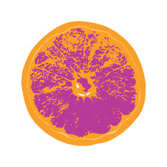 Isolated grapefruit on white background. Multicolored grapefruit in grunge style.