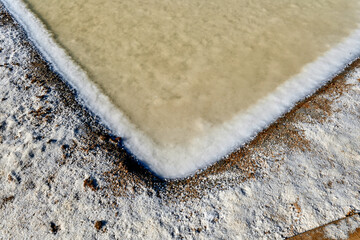 flower of salt, flor de sal in Portuguese in the salt marsh of Olhao, Algarve, Portugal	

