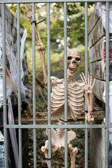 skeleton behind bars for Halloween, decor outside