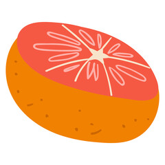 Grapefruit. Food vector illustration on white background. 