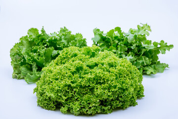 Lettuce of different kinds on a white background.