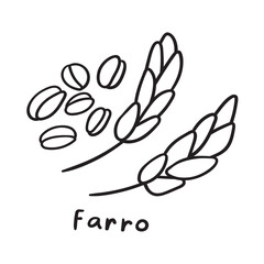 Fototapeta premium Farro. Vector outline icon on white background.