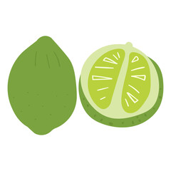 Food illustration. Lime. Hand drawn graphic design on white background.