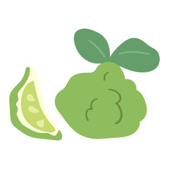 Bergamot. Hand drawn flat vector illustration on white background.