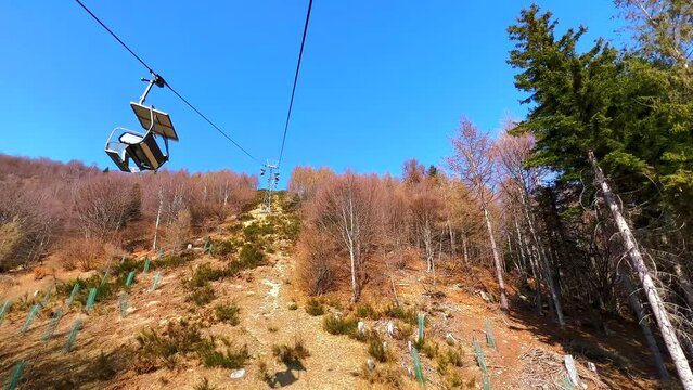 The mountain forests, Mount Cimetta, Ticino, Switzerland