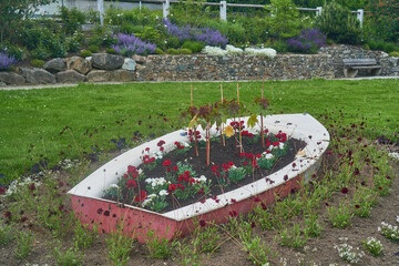 Flowerbed in the park