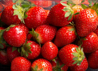 Strawberries freshly picked in supermarket punnet