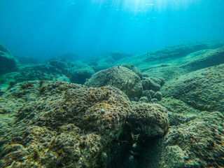 Fototapeta na wymiar Exploring Saint Barth Underwater
