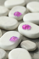 Spa stones and petunia flowers on grey table, closeup