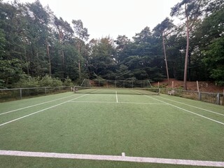 Tennis court with green grass and net outdoors