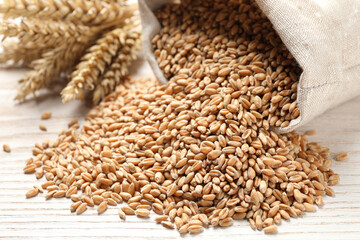 Obraz premium Sack with wheat grains on white wooden table, closeup