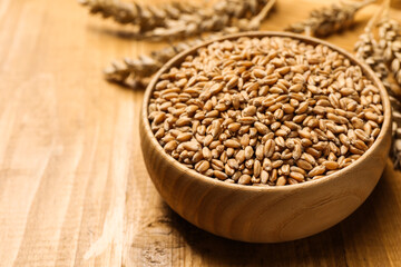 Wheat grains with spikelets on wooden table, closeup