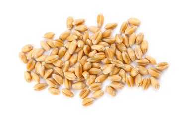 Pile of wheat grains on white background, top view