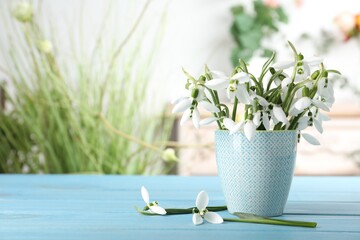 Beautiful snowdrops in cup on turquoise wooden table. Space for text