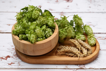 Fresh green hops and ears of wheat on white wooden table, closeup