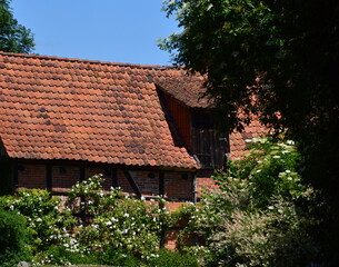 Fototapeta na wymiar Historical Farm in the Village Bothmer, Lower Saxony