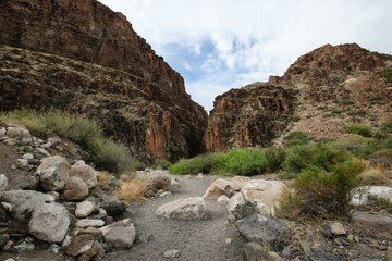 Plant Cloud Sky Plant community Natural landscape Bedrock