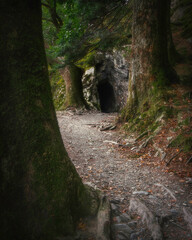 Footpath in woodland leading to spooky tunnel