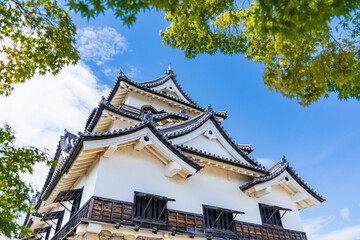 滋賀県彦根市　夏の国宝彦根城天守