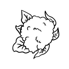 doodle vegetable set