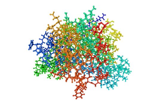 Cryogenic human heat-shock protein HSP 90a-NTD bound to adenine. Molecular model. Rendering based on protein data bank entry 7s90. Rainbow coloring from N to C. 3d illustration