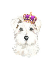 Watercolor Schnauzer illustration, cute dog breed, hipster portrait,funny character, cartoon dog in costume,clothes, accessories, hat, poster, card, invite, print,printable, flyer,it's a boy,diy	