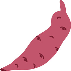Sweet potato, batata illustration