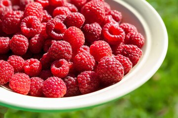 Raspberry berries. Close-up of raspberries in a bowl. Selective focus. Small depth of field. Blurred background