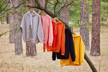 Several multicolored hoodies hang on hangers in a tree.