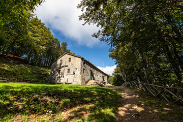 National Park of Casentinesi Forest, Campigna, Italy