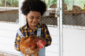 Portrait of black boy holding chicken at farm