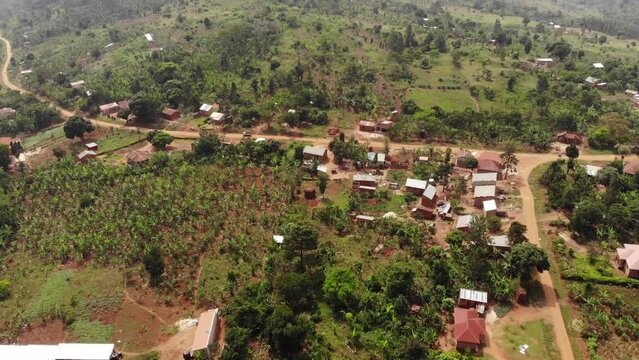 Drone shot over the slum village of Uganda, with green palm trees, clay houses.. High quality 4k footage