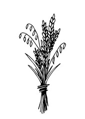 Fototapeta na wymiar Hand-drawn simple vector drawing in black outline. A bunch of ears, grain crops. Autumn bouquet of spikelets. Seasonal harvest.